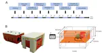 The Transcranial Light Therapy Improves Synaptic Plasticity in the Alzheimer’s Disease Mouse Model